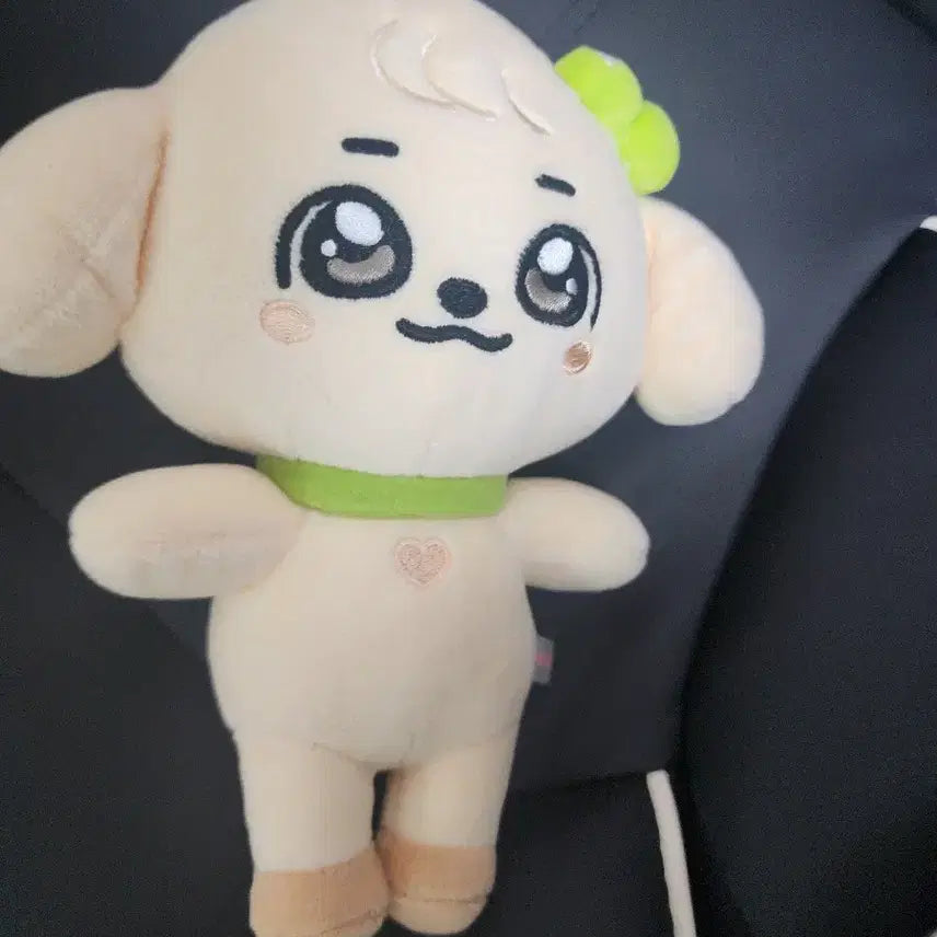 아이브 미니브 강안지 인형팝니다