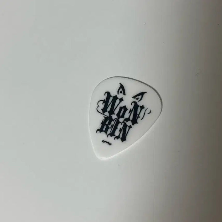 라이즈 원빈 기타 피크 판매 박원빈