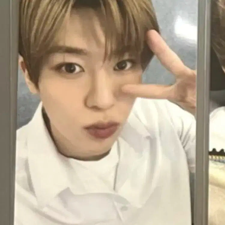 스쿨오브위시 입장포카 시온 엔시티 nct wish