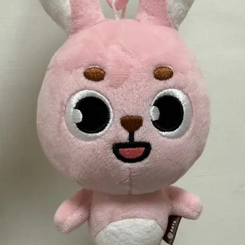 데이식스 원필 22 필끼 인형