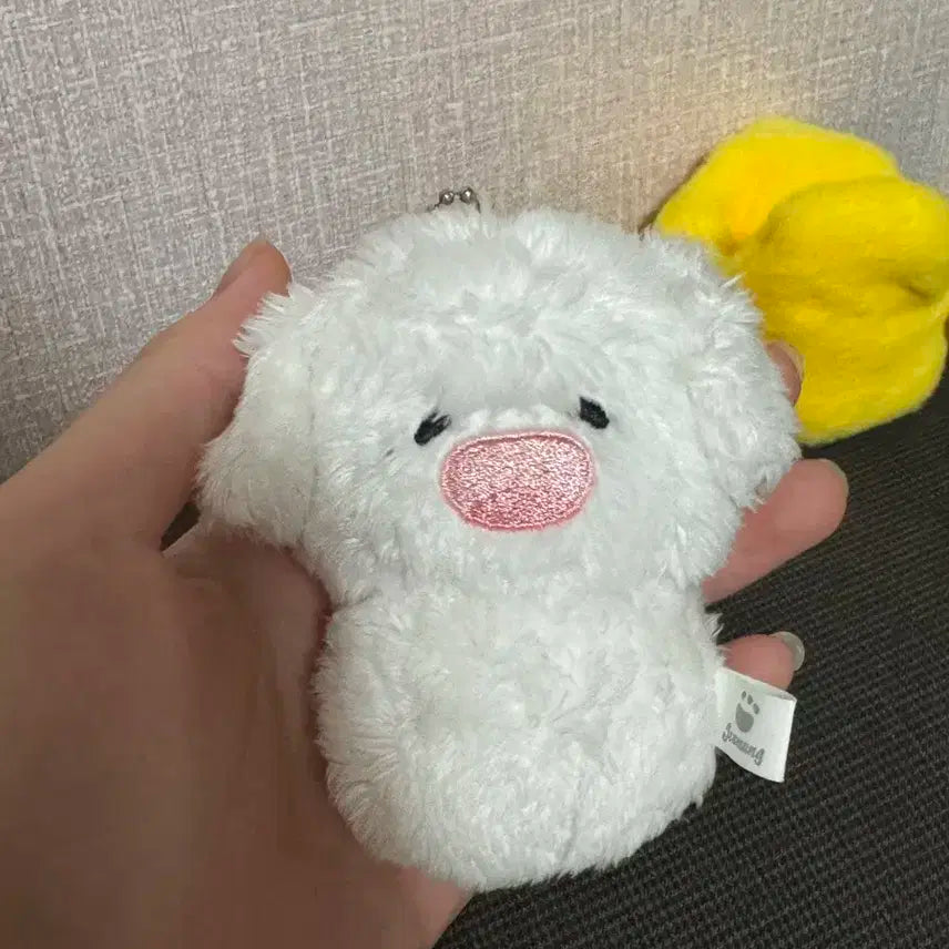 엔시티드림 제노 젠멍이 인형 (외출,목욕 x)