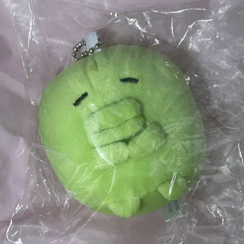쮸쮸댕치