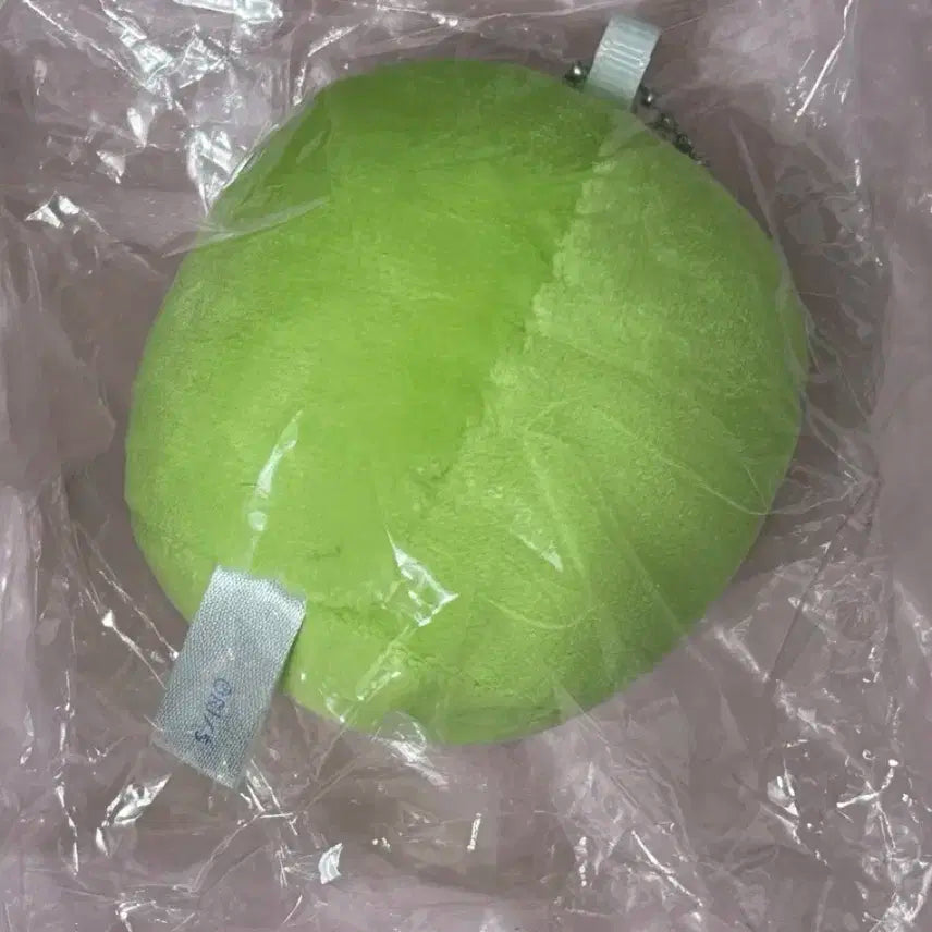 쮸쮸댕치