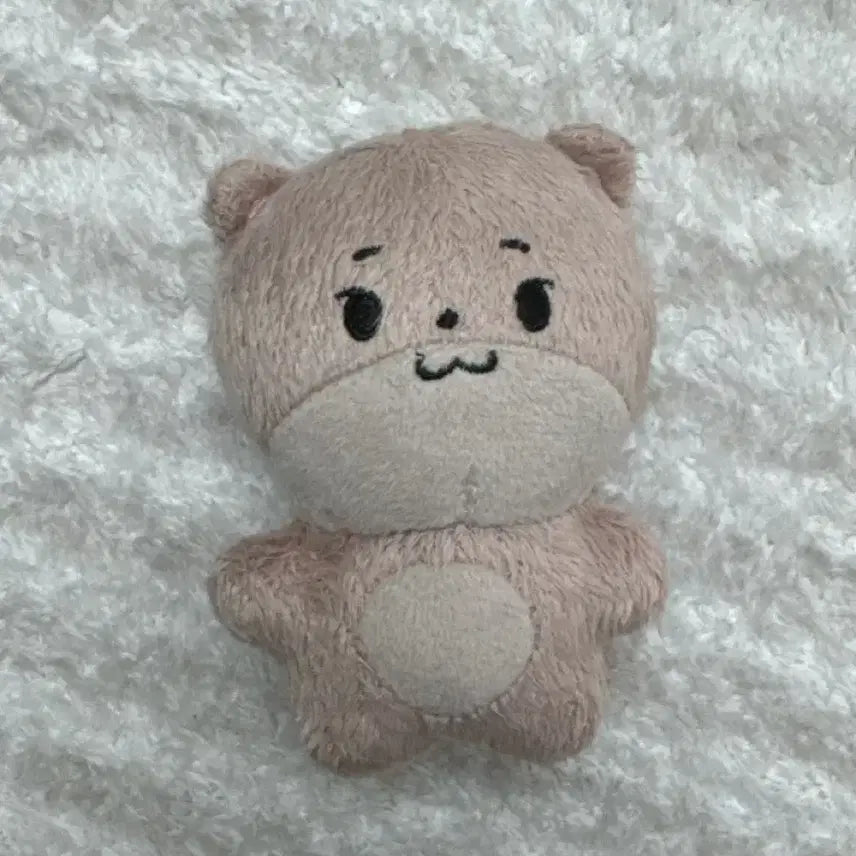 세븐틴 디노 인형
