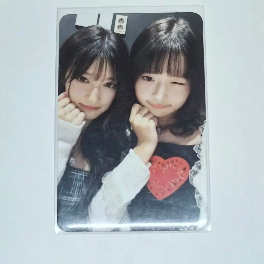 아이브 이서/레이 사웨포카 판매합니다