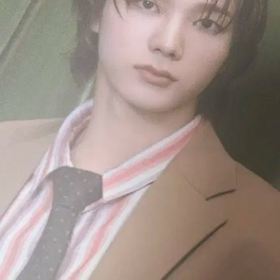 보넥도 아코디언 엽서