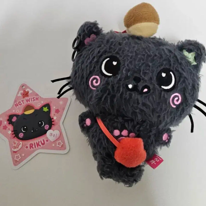 엔시티위시 리쿠 위시돌 쿠리 양도 (초판, 구 쿠리,  꼬질쿠리)