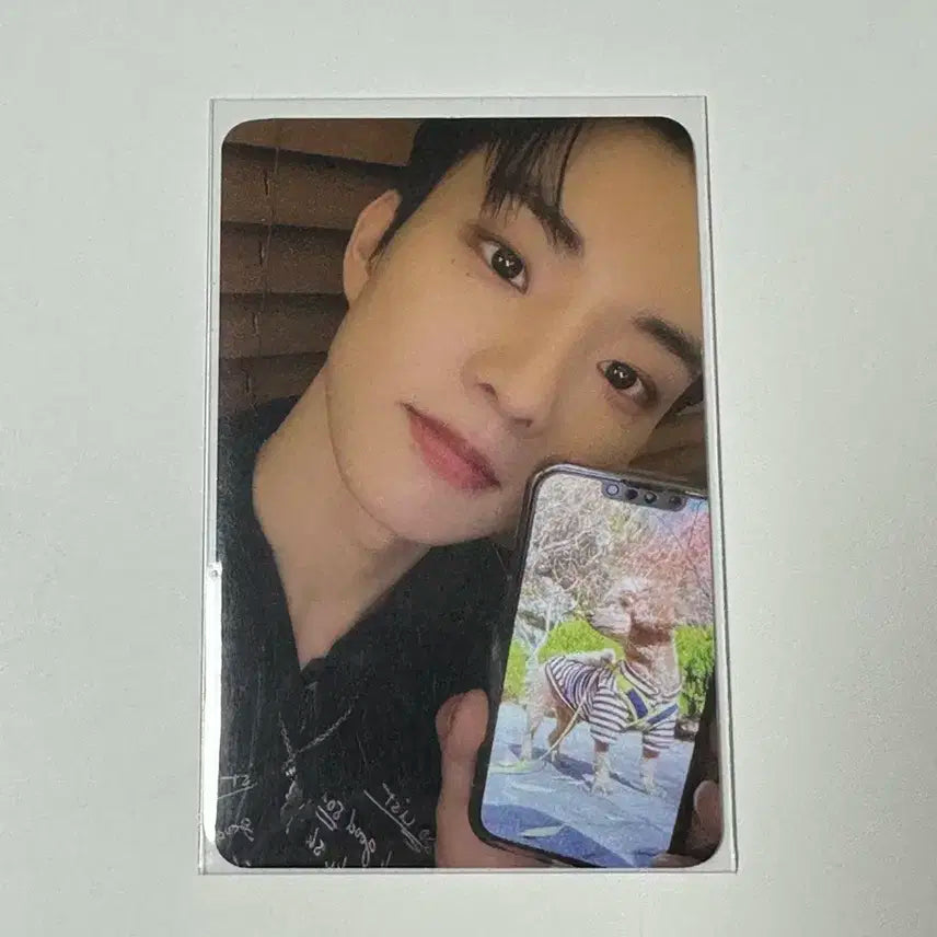 더보이즈 큐 포카 가나 로어