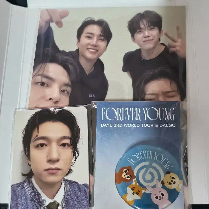 데이식스 대구 막콘 입장키트 양도