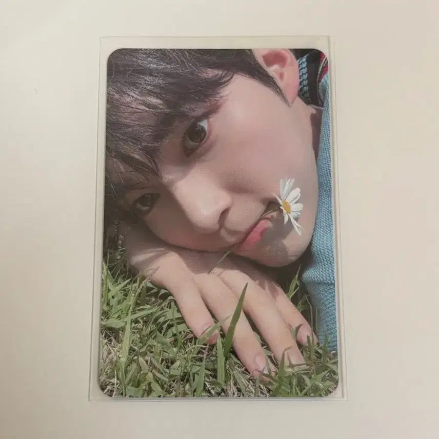 제로베이스원 성한빈 멤버쉽 포카