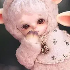 허니델프 마들렌, 위드돌 양 레이니 구관 판매합니다 (원가 39만원)