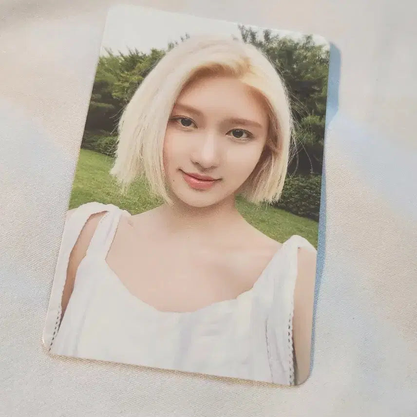 은채 가을 스테이씨 포토카드 일괄판매