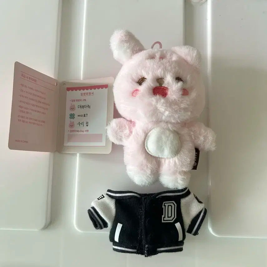 데이식스 쁘띠멀즈 필