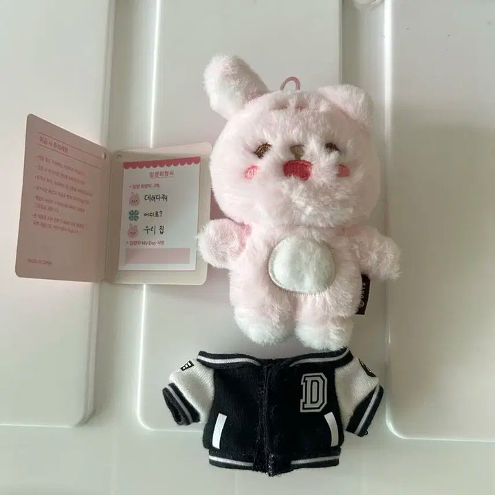 데이식스 쁘띠멀즈 필