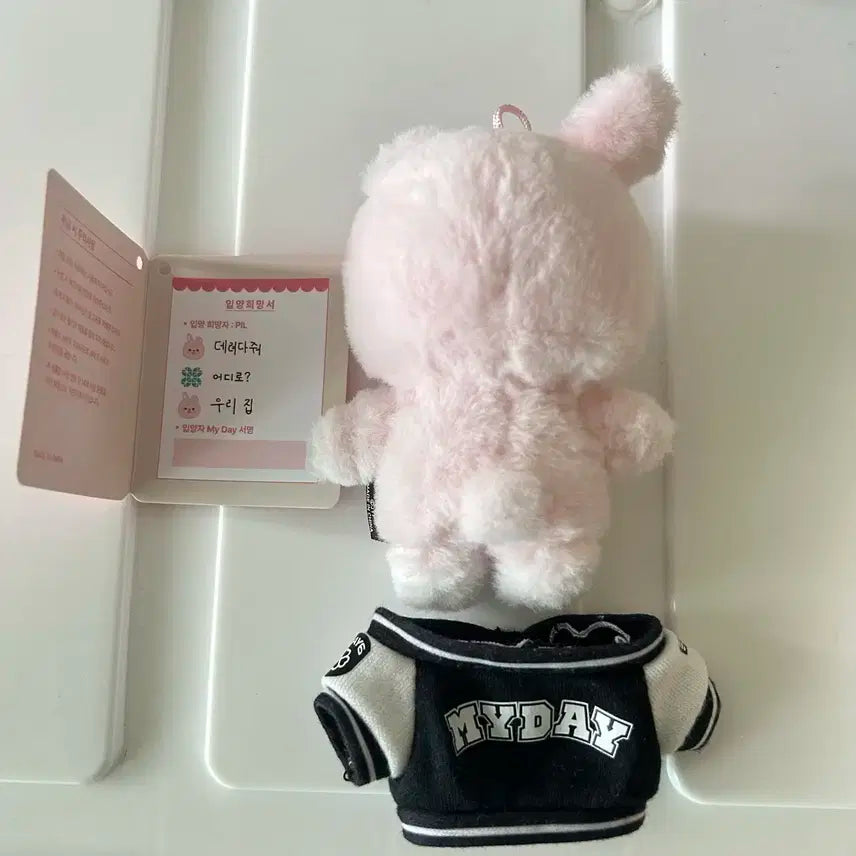 데이식스 쁘띠멀즈 필