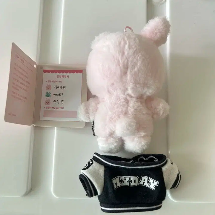 데이식스 쁘띠멀즈 필