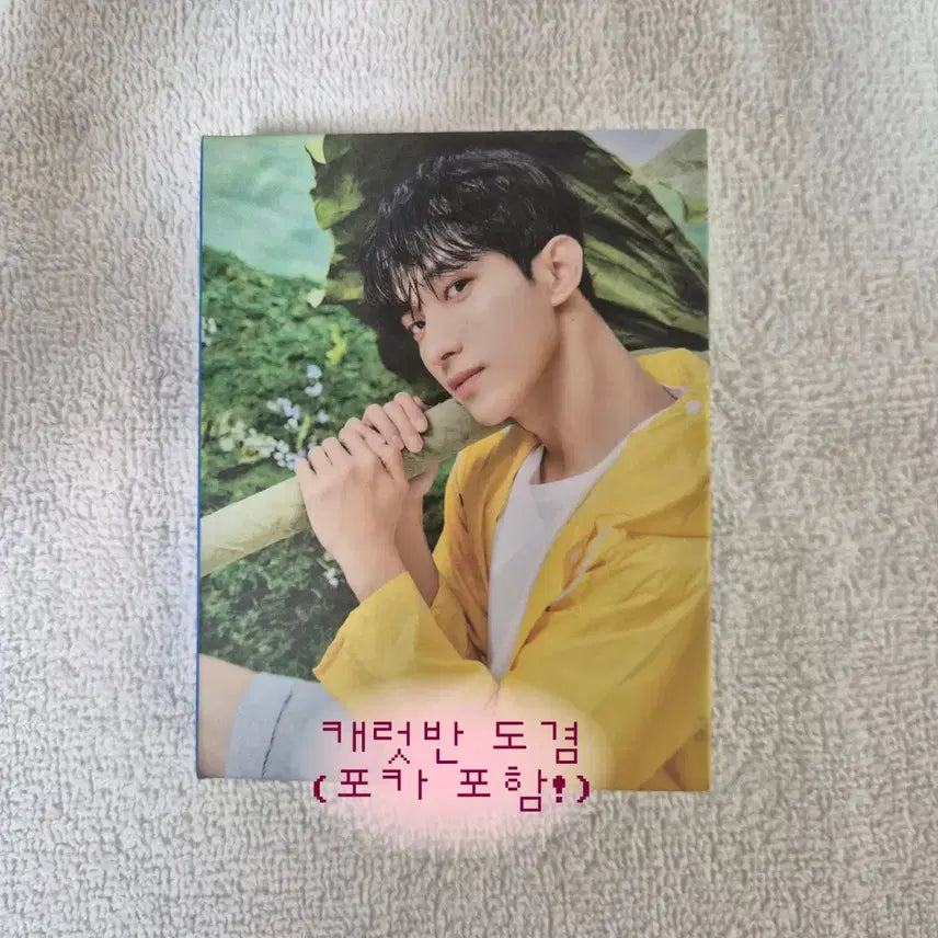 세븐틴 Seventeenth Heaven 도겸 캐럿반 앨범 에스쿱스정한준