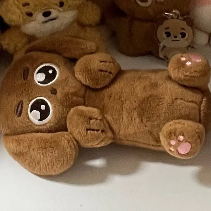 데이식스 원필 비공굿 인형 필스훈트