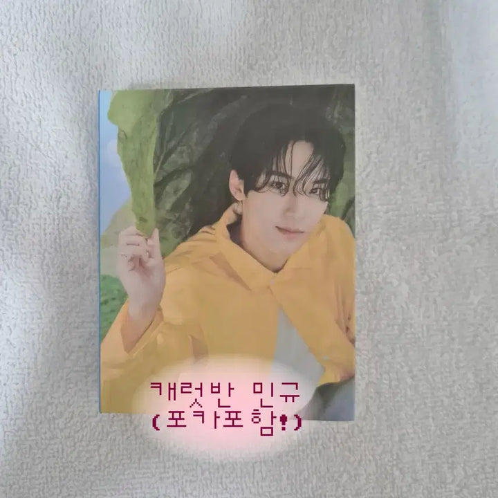 세븐틴 Seventeenth Heaven 민규 캐럿반 앨범 에스쿱스정한준