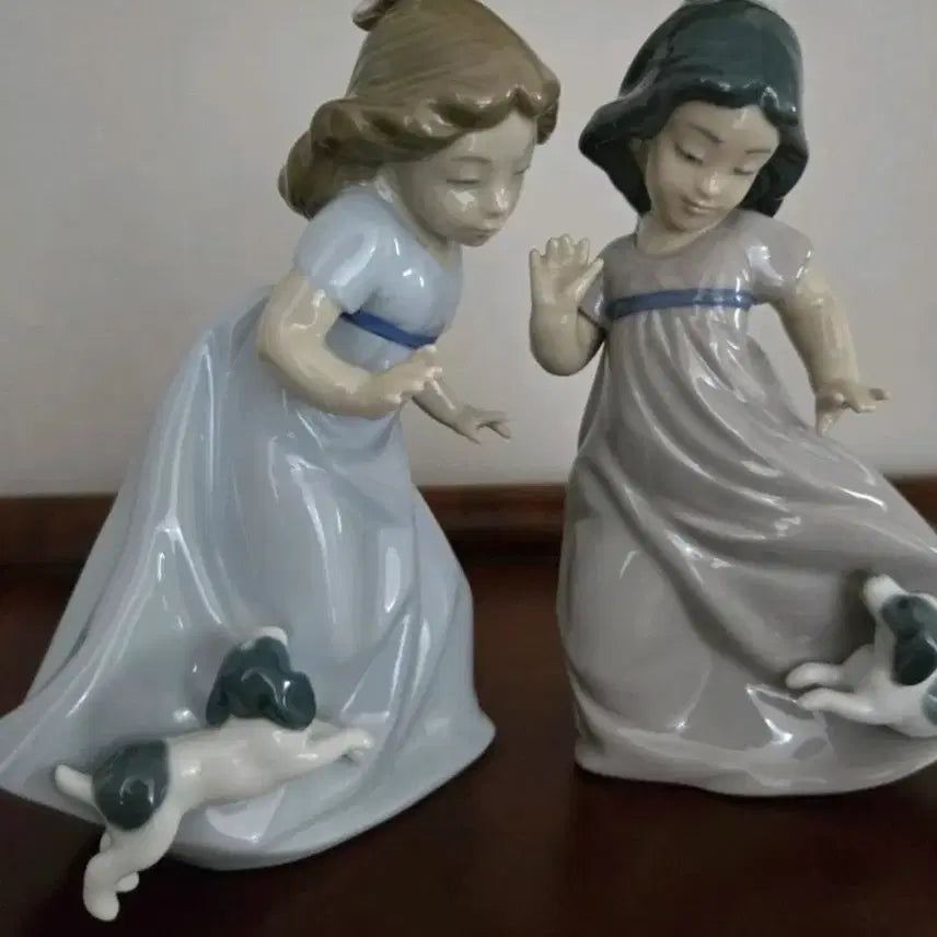 NAo 강아지와 소녀