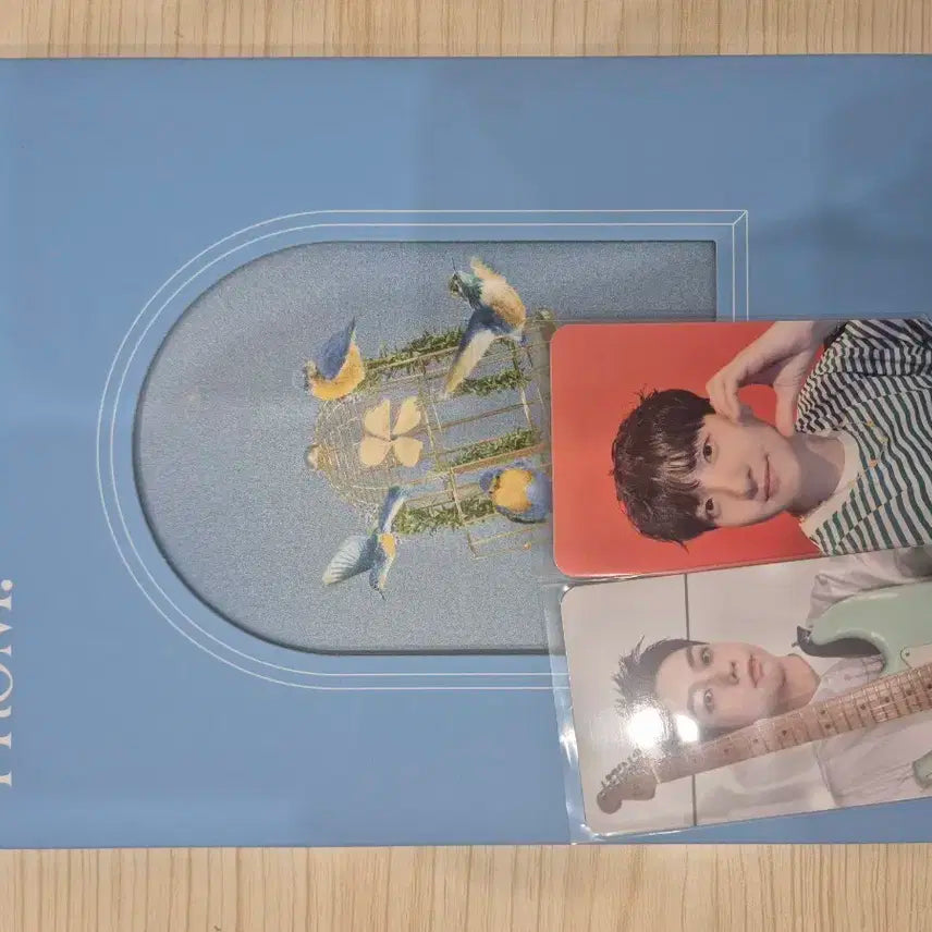 루시 프롬 개봉앨범