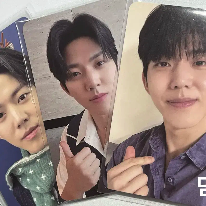 (추가) 데이식스 도운 24 데니멀즈