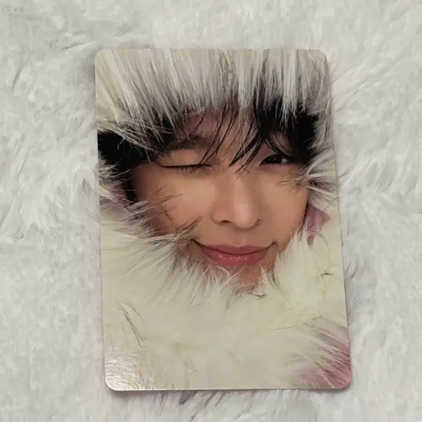 엔시티 위시 nct wish 컬러 포토북 리쿠 미라클 초회한정 포카