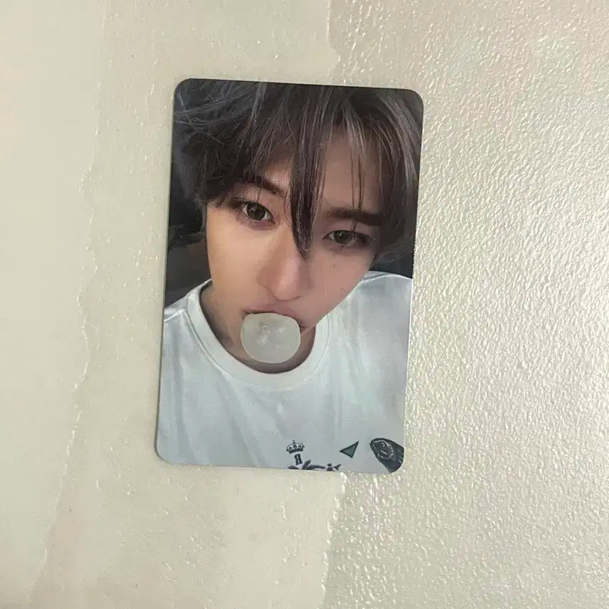 엔시티 위시 팝츄 시온 포토카드