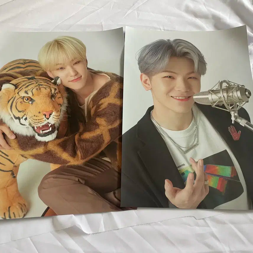 세븐틴 2020 시즌그리팅 양도