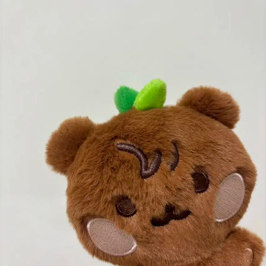 에이티즈 종호 쫑베어플랫퍼