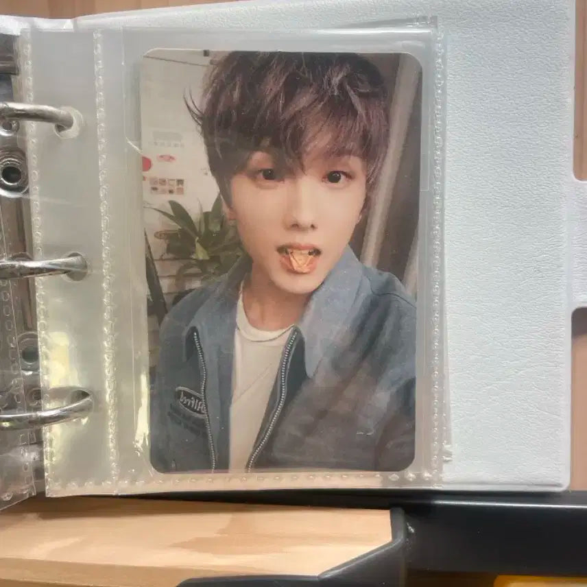 Nct 지성 포카 바인더 포함