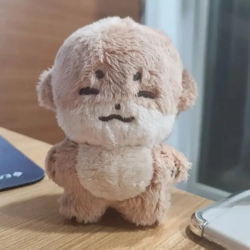 세븐틴 디노 인형 찬당이&꿀차니 일괄 양도