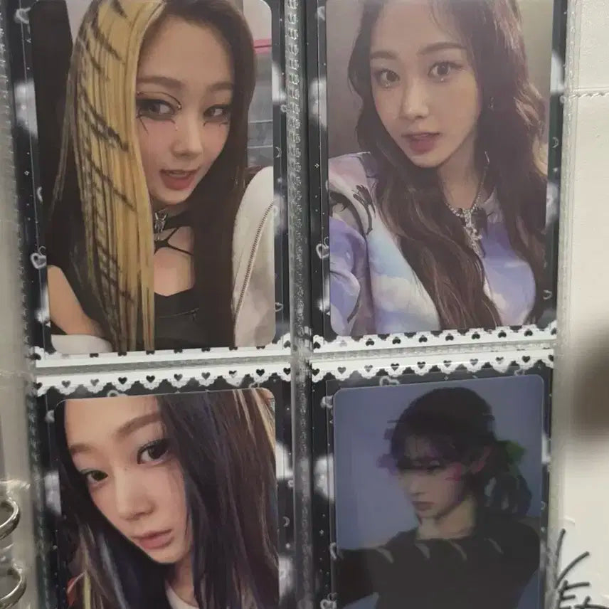 지젤 포카 (일괄)