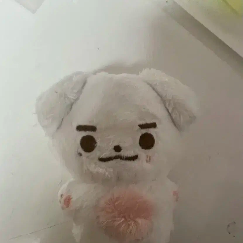 제로베이스원 제베원 김태래 인형 뭉래 팔아요