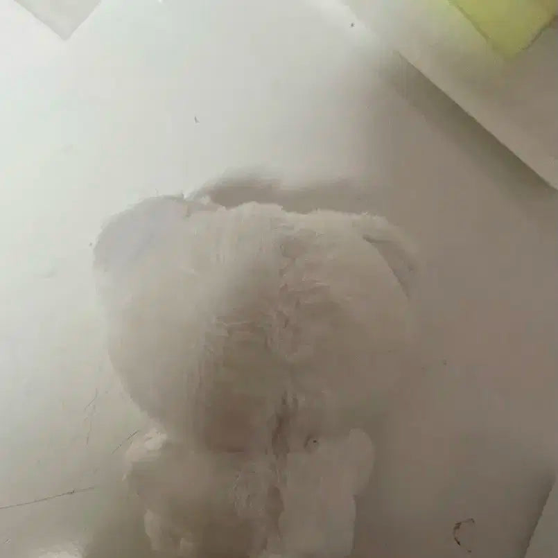 제로베이스원 제베원 김태래 인형 뭉래 팔아요
