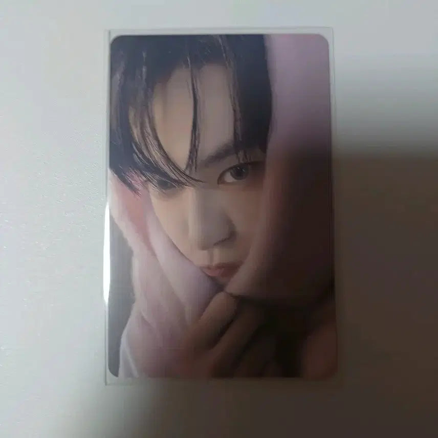 엔시티 핑크크리스마스 도영 포카