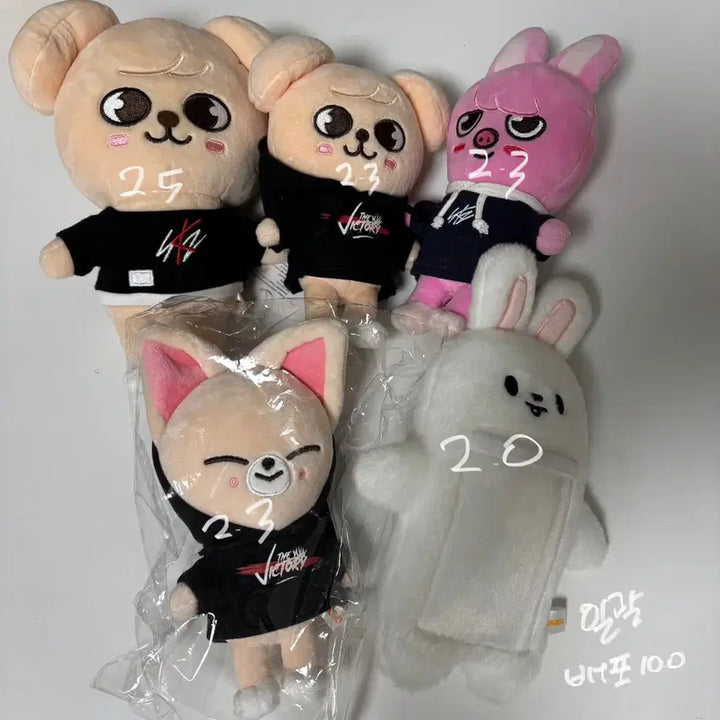 스트레이키즈 스키즈 스키주 일괄 대량 양도 처분 포카 미공포 럭드