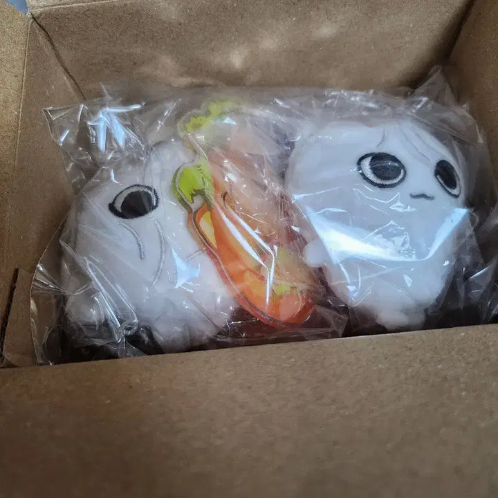 호쪼그 보넥도 보이넥스트도어 성호 인형 양도