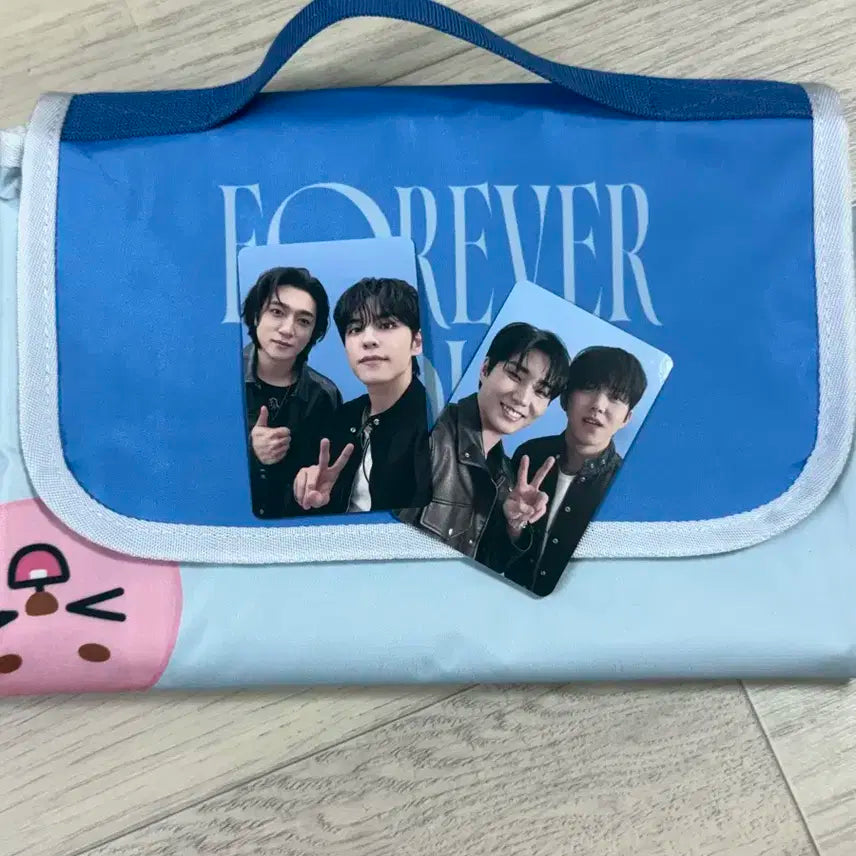 데이식스 데니멀즈 피크닉 매트