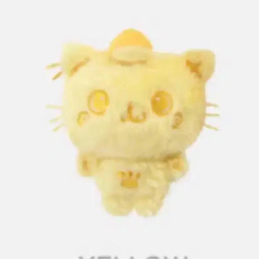 엔시티위시 컬러 위시돌 리쿠 노랑 쿠리 양도