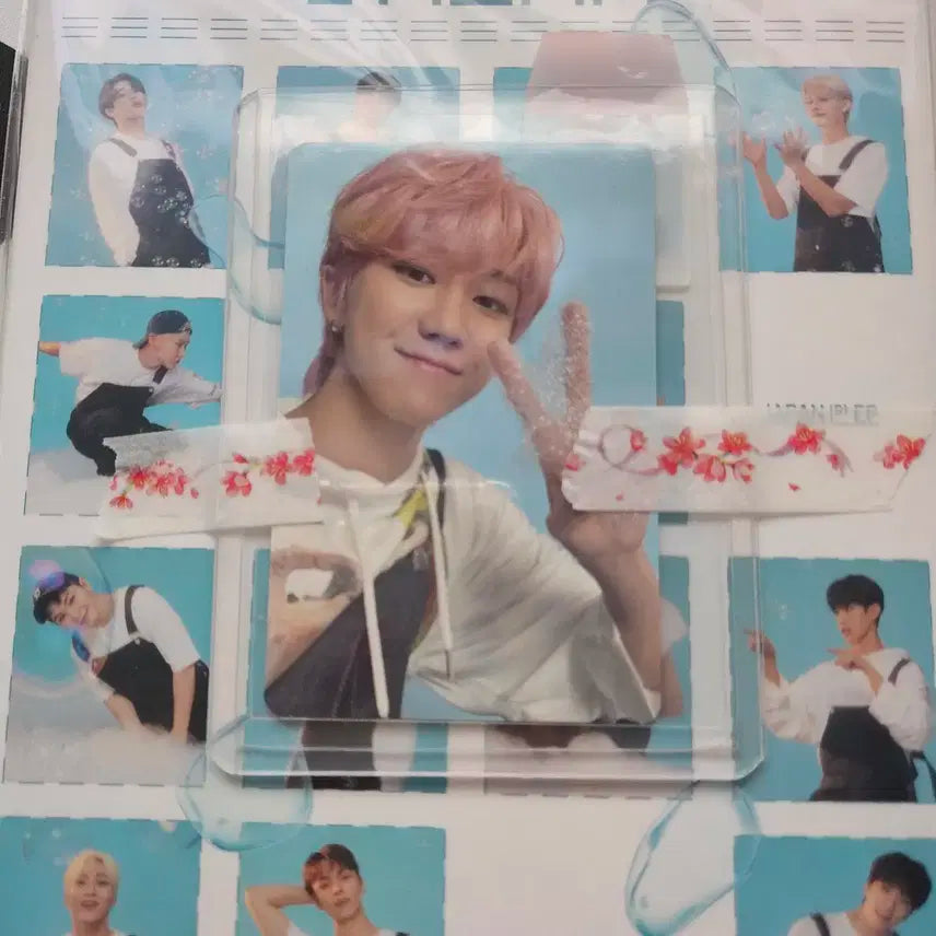 세븐틴 Dream 디에잇 포카