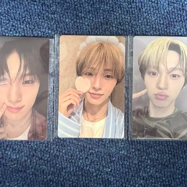 보플 전시회 펑진위 셀포 일괄 양도