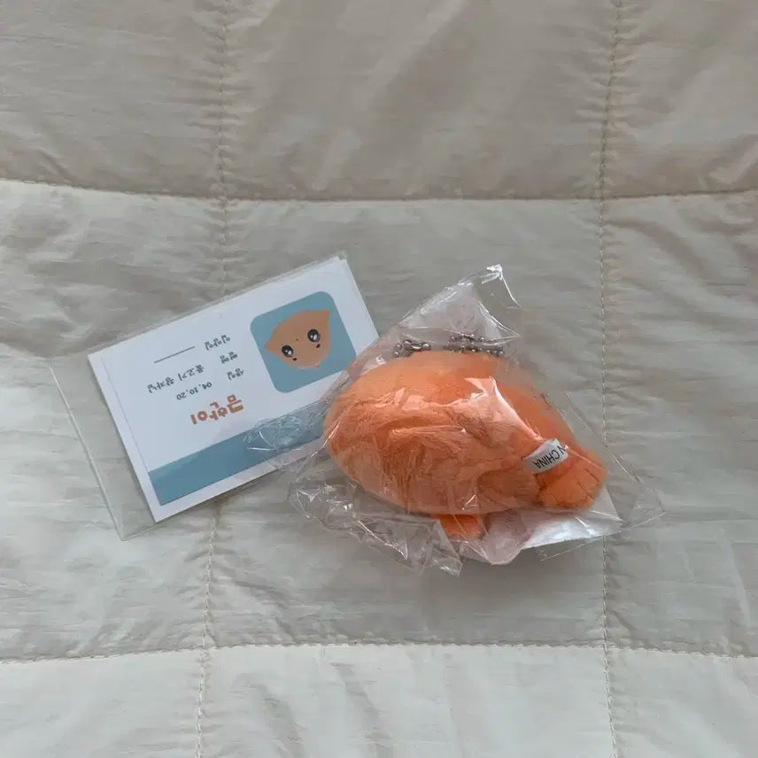 보이넥스트도어 이한 금한이 인형 미개봉