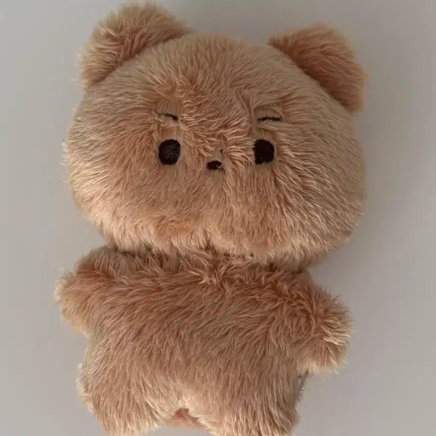 달곰 더보이즈 현재 인형