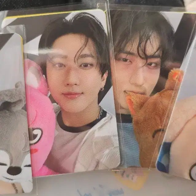 스키즈 팝업 엠디포카 일괄