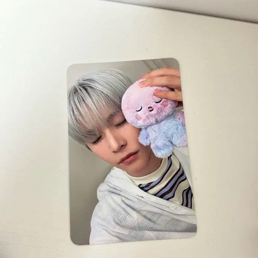 라이즈 은석 미라지 포카 양도