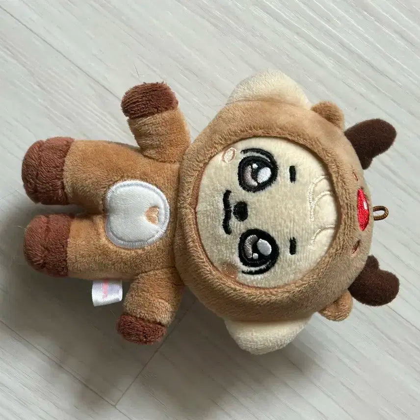 아이브 크리스마스 강안지