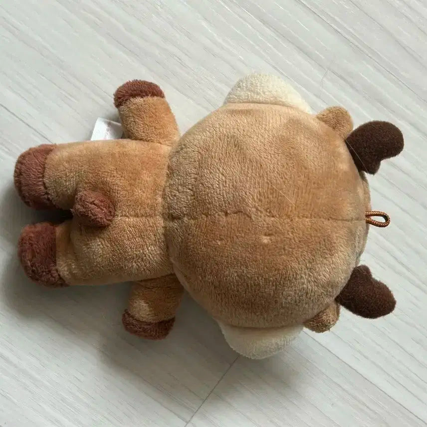 아이브 크리스마스 강안지