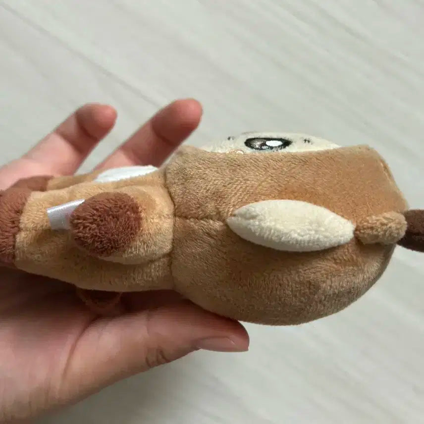 아이브 크리스마스 강안지