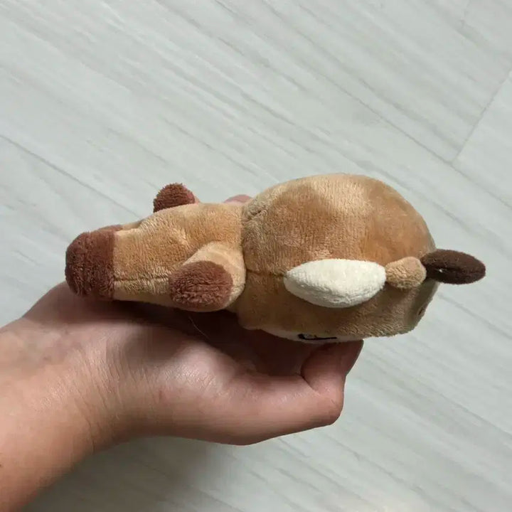 아이브 크리스마스 강안지